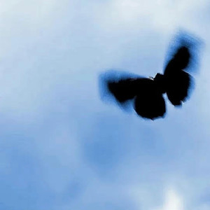 五月综合激情婷婷六月色窝
